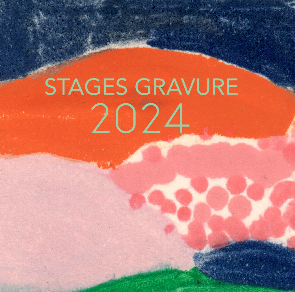 momotype2024 N